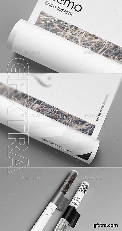 GraphicRiver - A4 A5 Poster Flyer Mockups V4 12250707