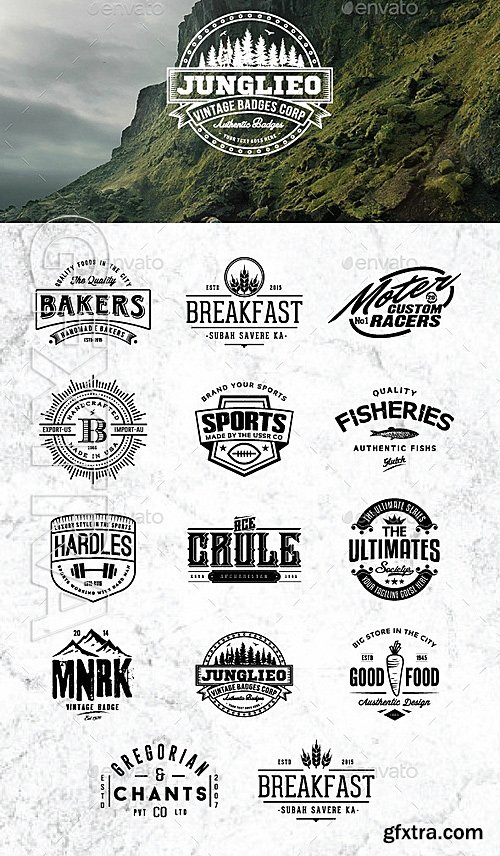 GraphicRiver - Vintage Badges and Logos 12908546