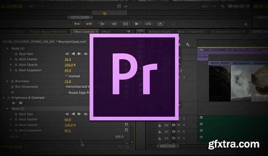 Master Adobe Premiere Pro CC 2014