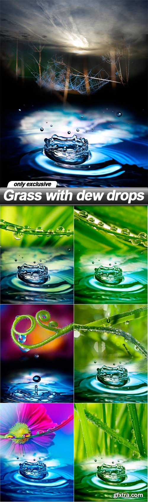 Grass with dew drops - 7 UHQ JPEG