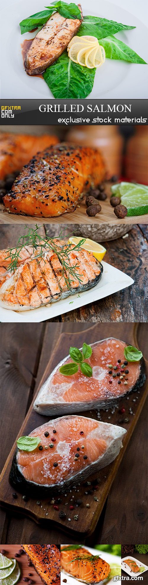 Grilled salmon - 7 UHQ JPEG