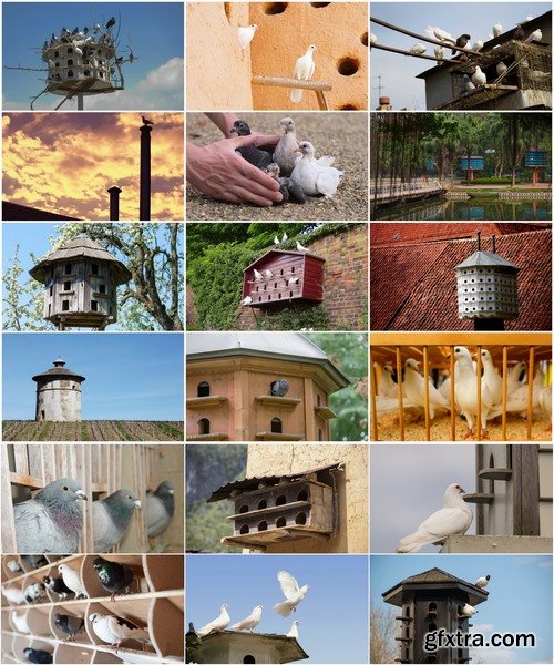 Collection of dovecote pigeon house for birds 25 HQ Jpeg