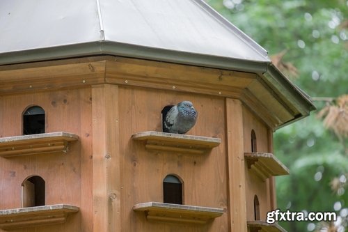 Collection of dovecote pigeon house for birds 25 HQ Jpeg