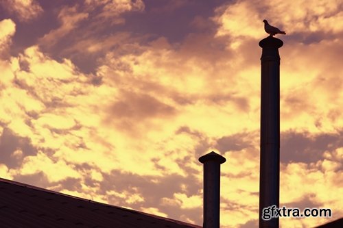 Collection of dovecote pigeon house for birds 25 HQ Jpeg