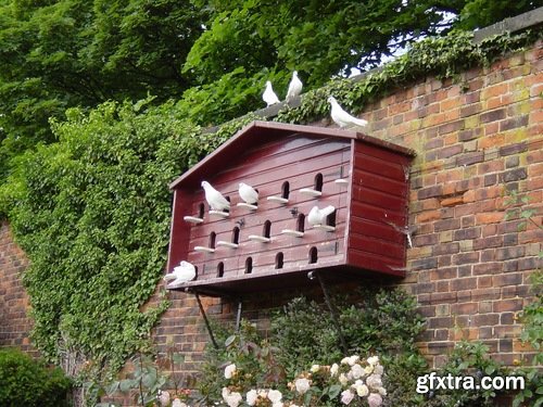 Collection of dovecote pigeon house for birds 25 HQ Jpeg