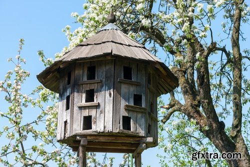 Collection of dovecote pigeon house for birds 25 HQ Jpeg