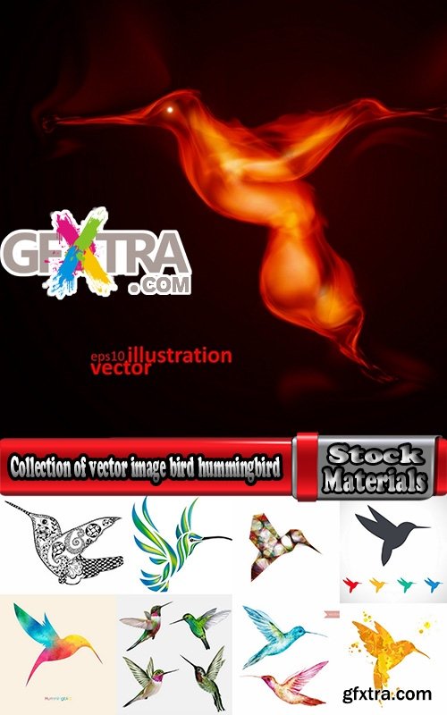 Collection of vector image bird hummingbird icon abstract wing 25 EPS