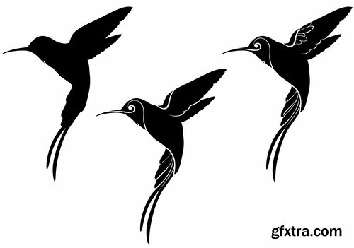 Collection of vector image bird hummingbird icon abstract wing 25 EPS