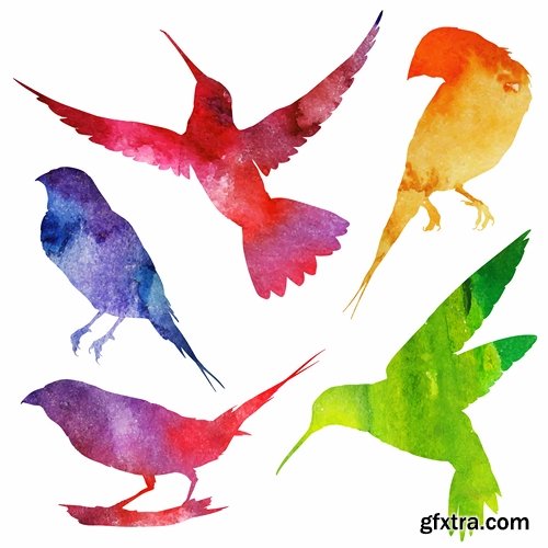 Collection of vector image bird hummingbird icon abstract wing 25 EPS