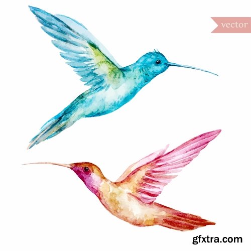 Collection of vector image bird hummingbird icon abstract wing 25 EPS