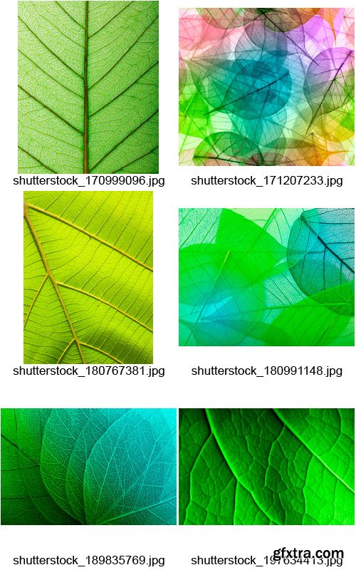 Amazing SS - Leaf Textures, 25xJPGs