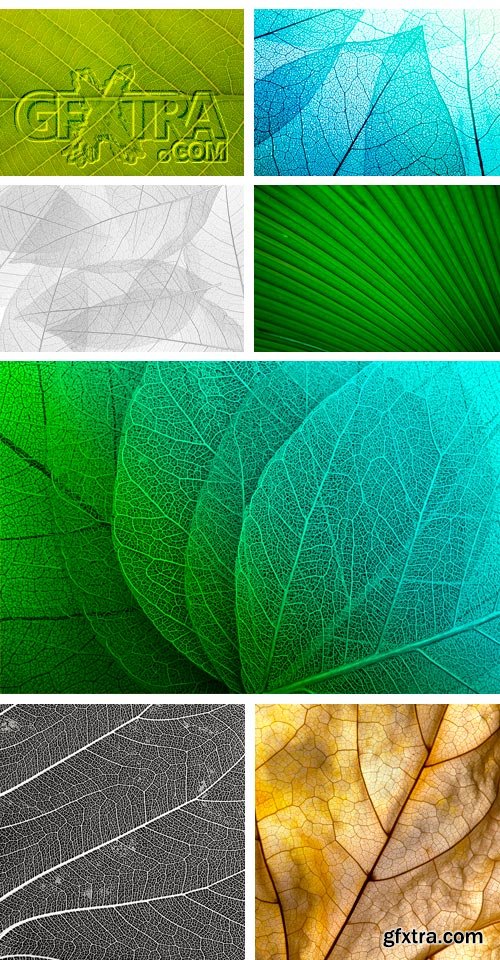 Amazing SS - Leaf Textures, 25xJPGs