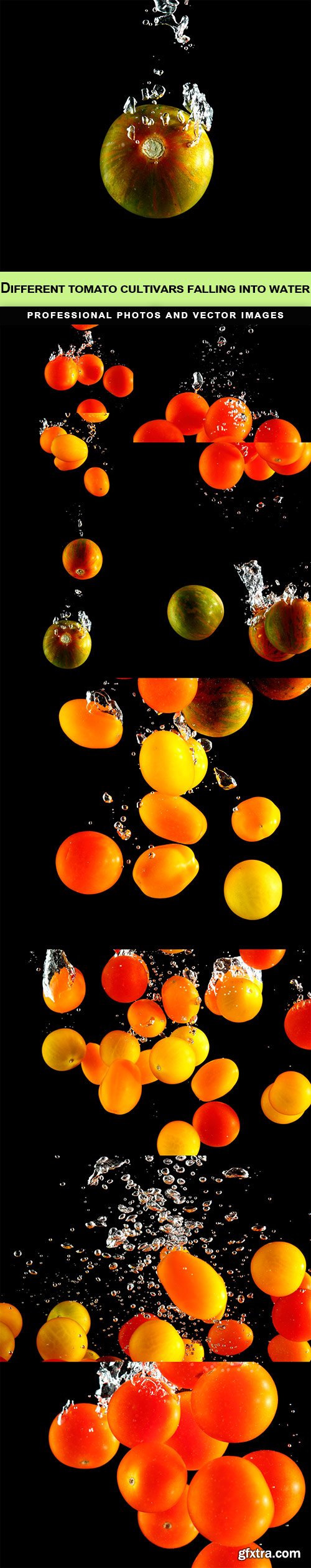 Different tomato cultivars falling into water - 11 UHQ JPEG