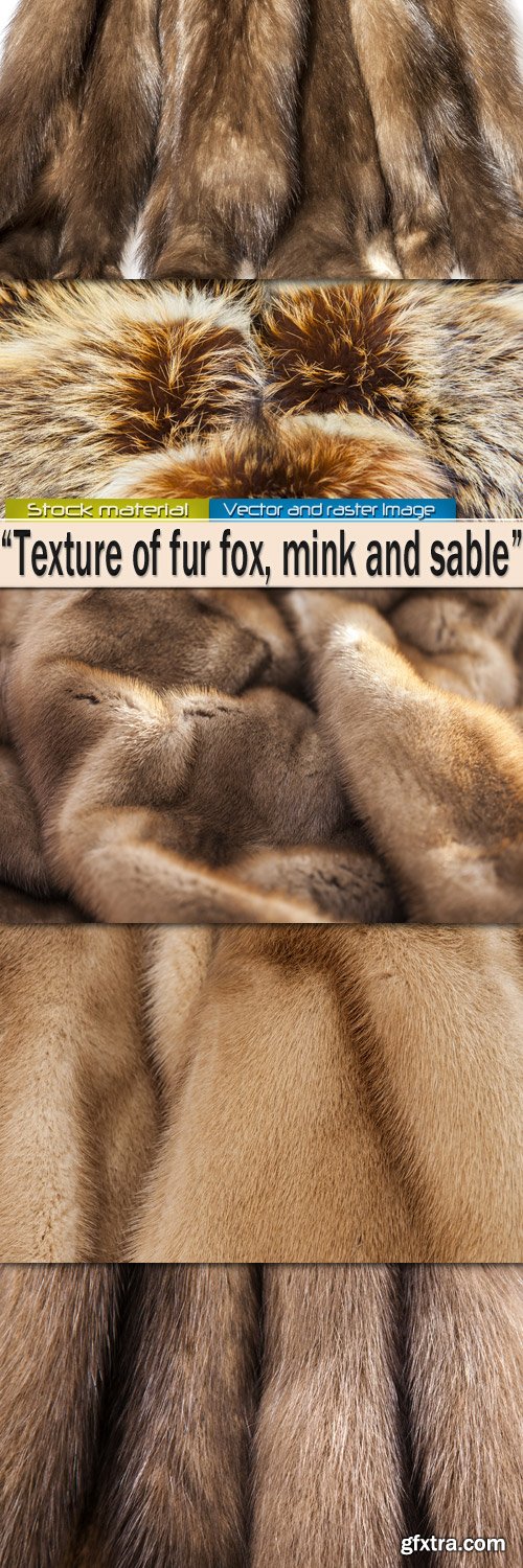 Texture of fur fox, mink and sable