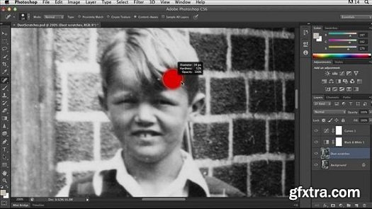 Photoshop Insider Training: Photo Restoration (Full)