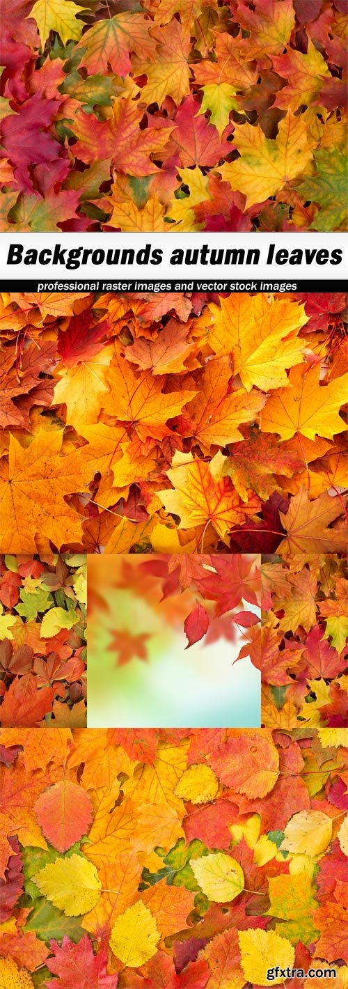 Backgrounds autumn leaves