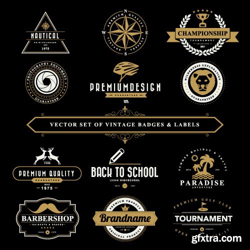 Vintage Logo and Badges set vector