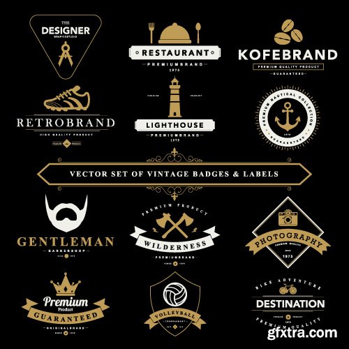 Vintage Logo and Badges set vector