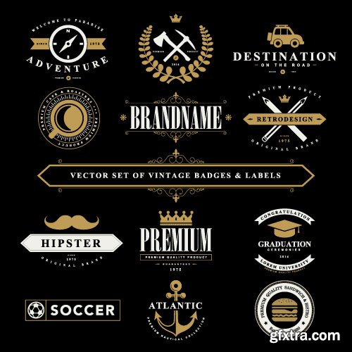 Vintage Logo and Badges set vector