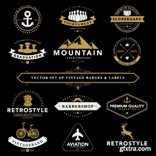 Vintage Logo and Badges set vector