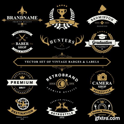 Vintage Logo and Badges set vector