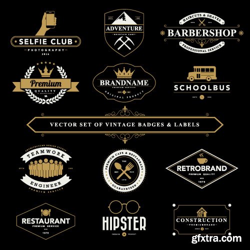 Vintage Logo and Badges set vector