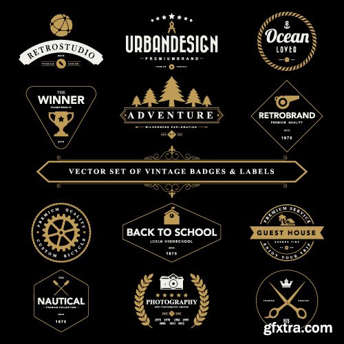 Vintage Logo and Badges set vector