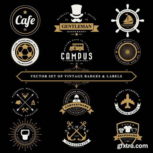 Vintage Logo and Badges set vector