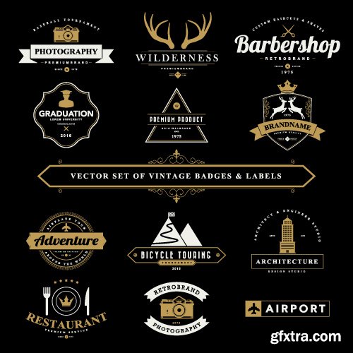 Vintage Logo and Badges set vector