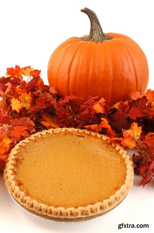 Pumpkin pie