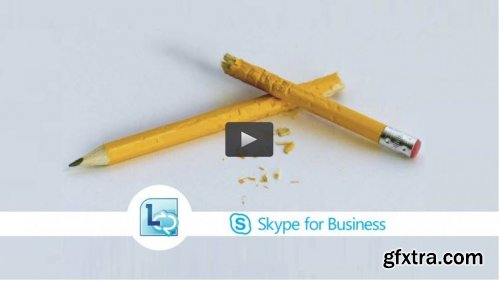 Skype for Business (Microsoft Lync 2010) 