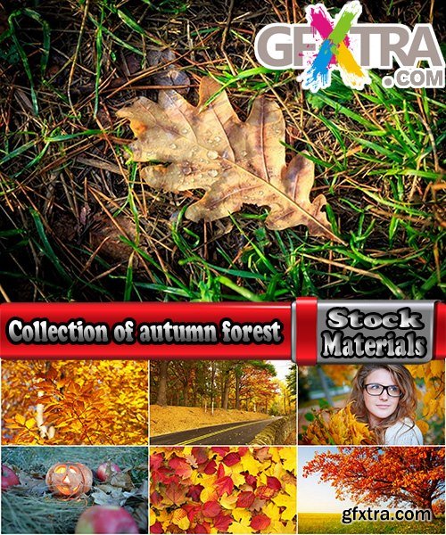 Collection of autumn forest fall landscape mountain nature river meadow yellow leaf #2-25 HQ Jpeg