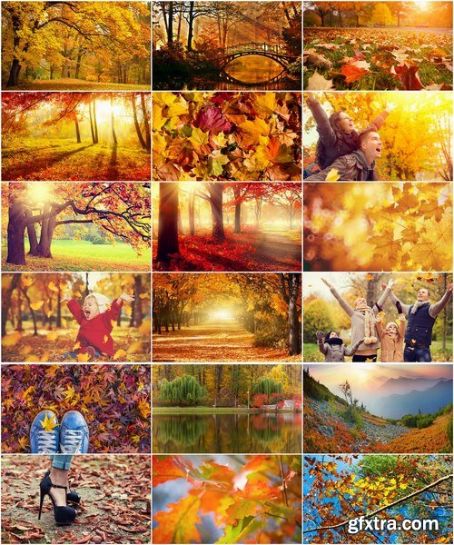 Collection of autumn forest fall landscape mountain nature river meadow yellow leaf #2-25 HQ Jpeg