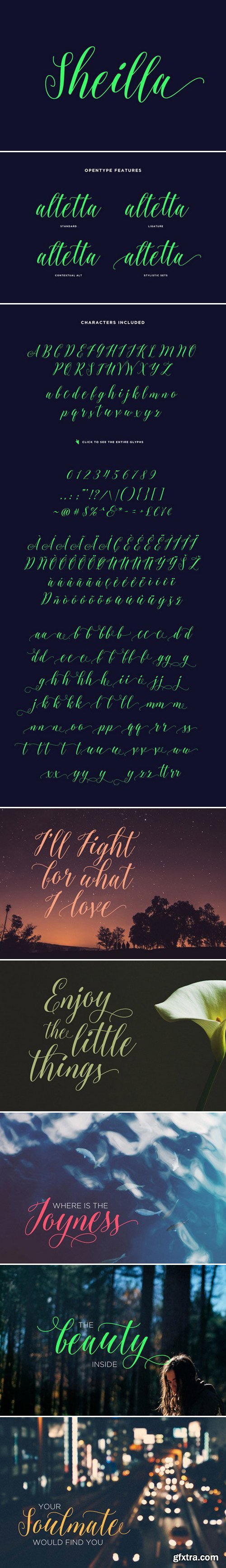 CM - Sheilla Script 384472