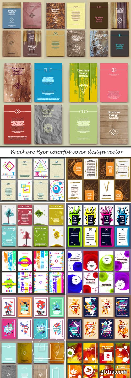 Brochure flyer colorful cover design vector