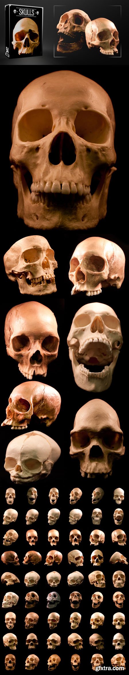 Awesome Real Human Skulls - 54 Images (Re-Up)