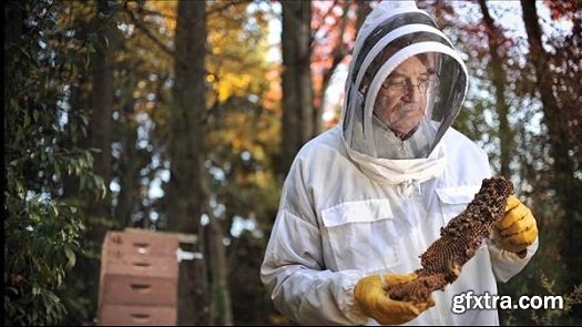 Lighting with Flash: Portrait of a Beekeeper and His Bees