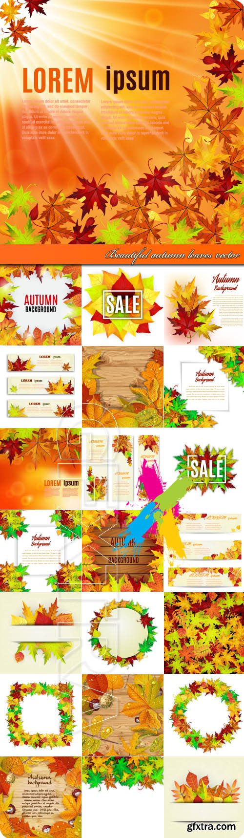 Beautiful autumn leaves vector