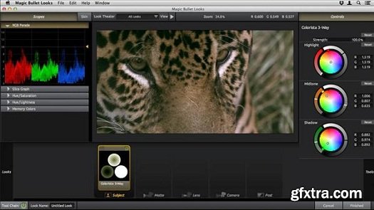 Up and Running with Magic Bullet Suite