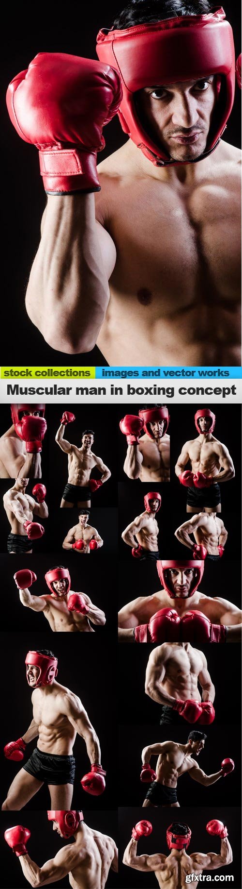 Muscular man in boxing concept, 15 x UHQ JPEG