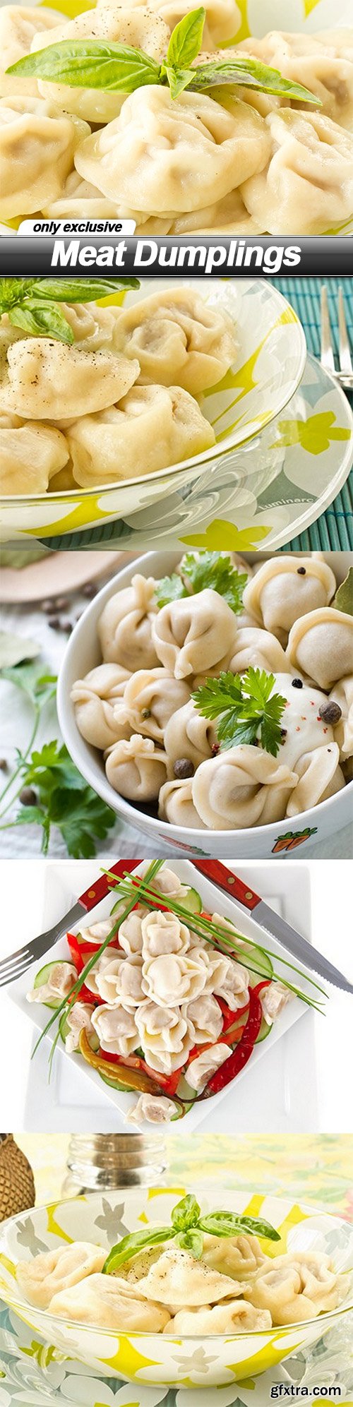 Meat Dumplings - 5 UHQ JPEG