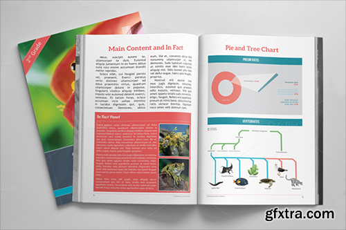 CreativeMarket Textbook Template 383065