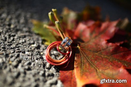 Wedding rings on autumn background