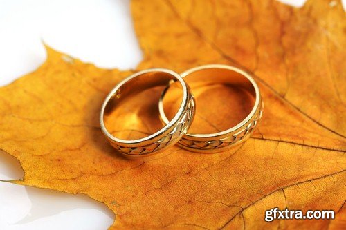 Wedding rings on autumn background