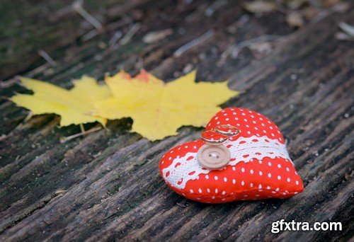 Wedding rings on autumn background