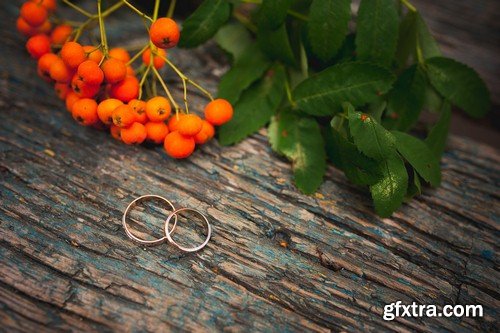 Wedding rings on autumn background