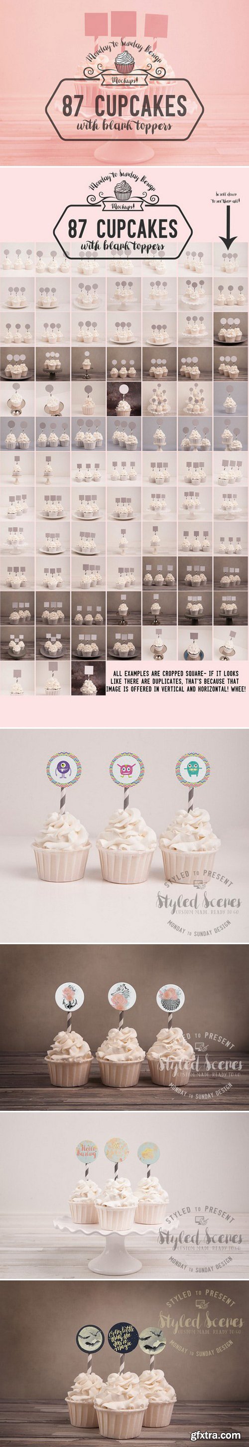 CM - 87 Cupcake Topper Mockups 389437