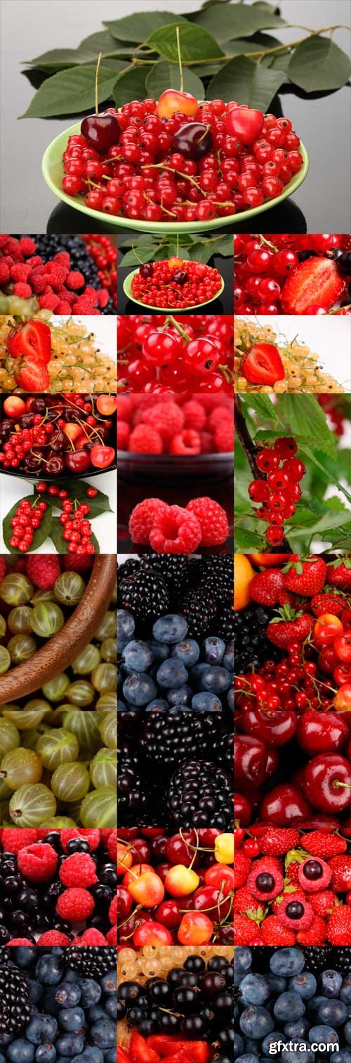 Various berries raster graphics