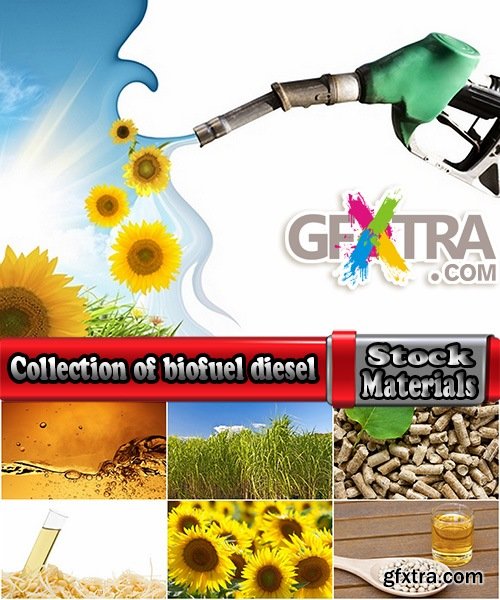 Collection of biofuel diesel from plants 25 HQ Jpeg