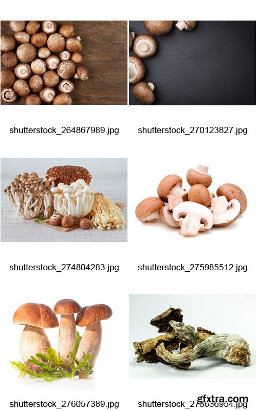 Amazing SS - Mushrooms, 25xJPGs